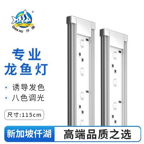 紅龍魚燈光位置示意圖片