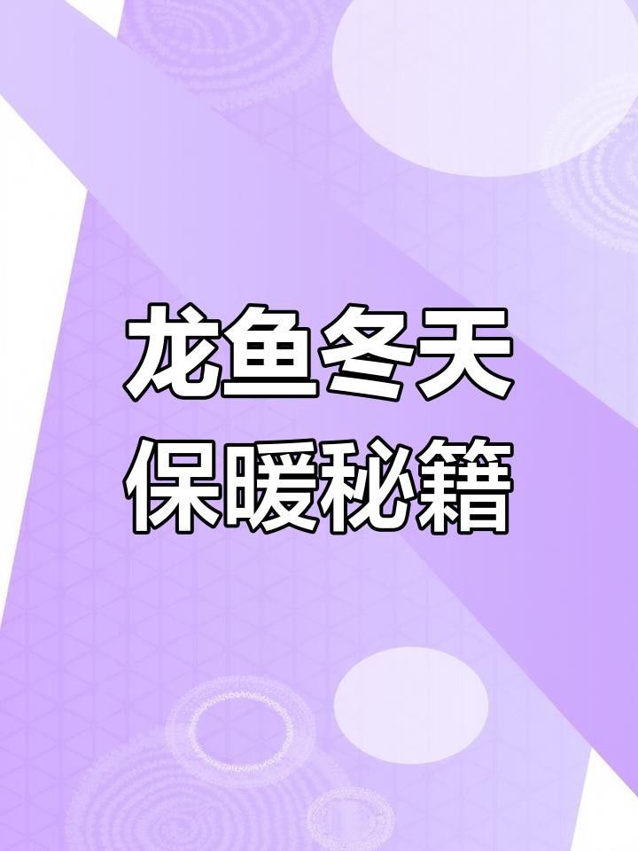如何為龍魚提供穩(wěn)定的水溫環(huán)境？ 如何為龍魚提供穩(wěn)定的水溫環(huán)境？ 龍魚百科 第3張