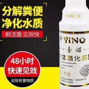 怎么讓龍魚不掉眼淚：清理龍魚缸糞便的幾種方法