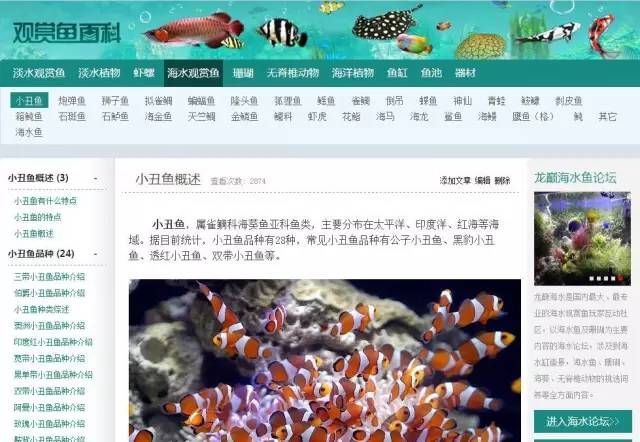 龍魚是淡水還是海水養(yǎng)的：龍魚是淡水魚，應(yīng)在淡水環(huán)境中飼養(yǎng)