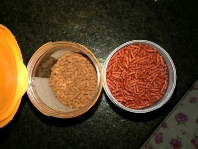 龍魚飼料制作：自制龍魚飼料的營養均衡，龍魚飼料保存的最佳方法