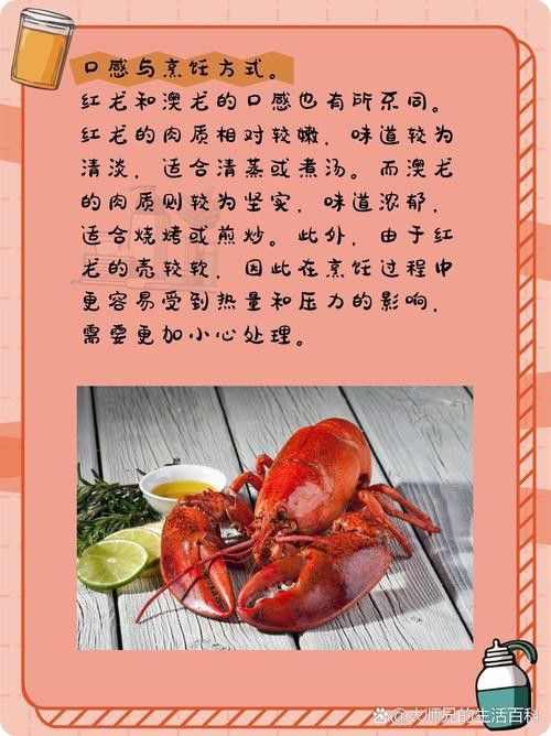 澳龍和紅龍哪個更貴？