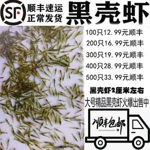 40公分龍魚喂幾個蝦米好（40公分的龍魚每天喂食多少蝦仁wen.baidu.com）
