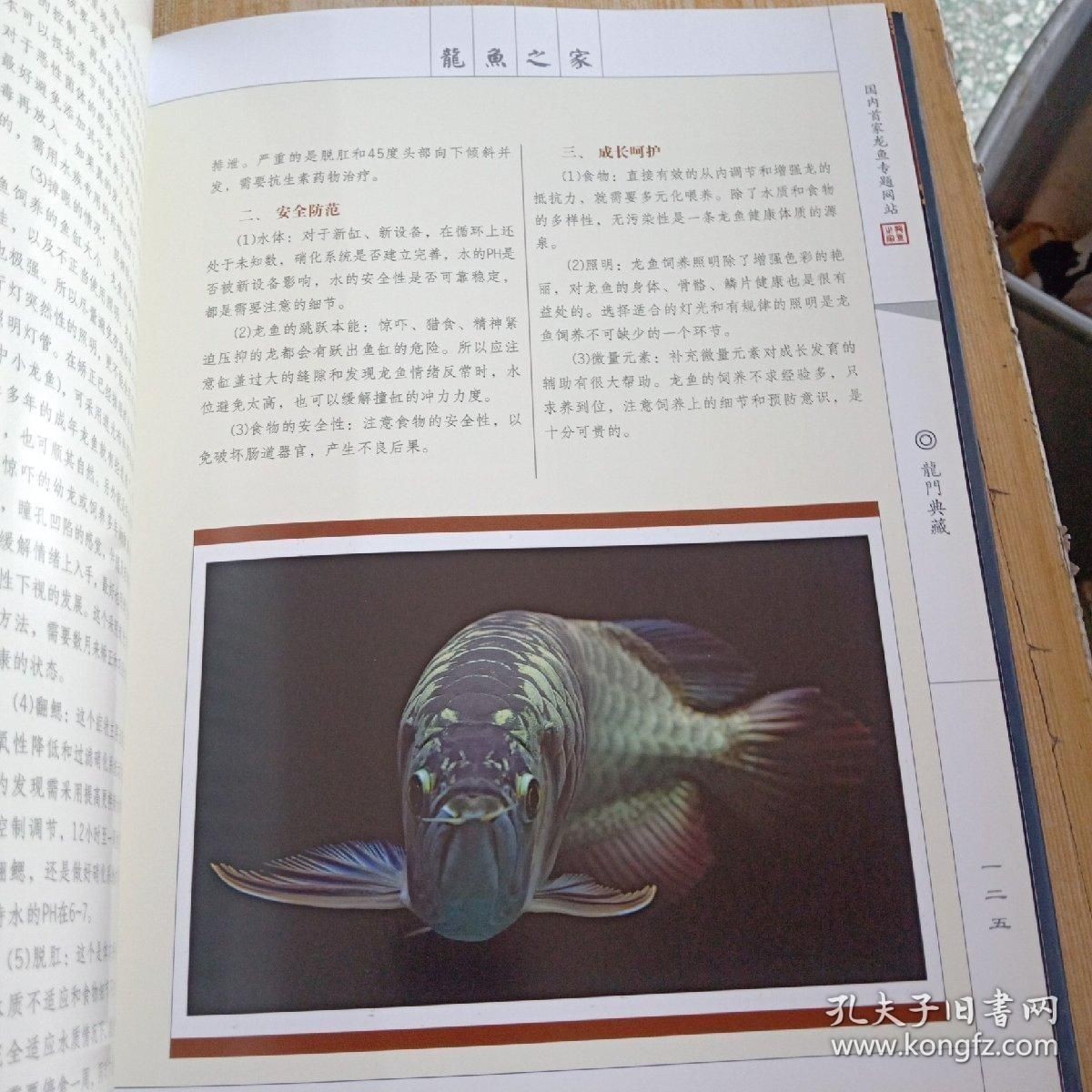 龍魚身體有點傾斜正常嗎：龍魚身體傾斜怎么辦