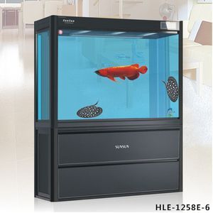 1米魚缸可以養龍魚嗎（1米的魚缸適合養什么樣的大型魚）