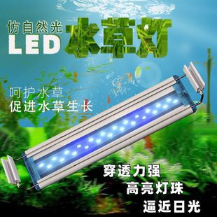 龍魚尾巴裂了條縫能長好嗎怎么治：當龍魚尾巴裂開縫隙時，治療方法包括以下幾個步驟：