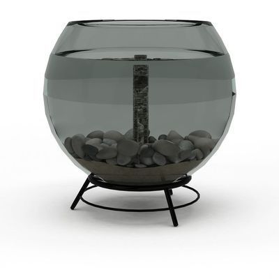 如何區分紅龍和金龍魚的成魚？ 如何區分紅龍和金龍魚的成魚？ 龍魚百科 第2張