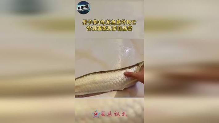 龍魚必定清驅蟲下多了：龍魚為什么會被咬死