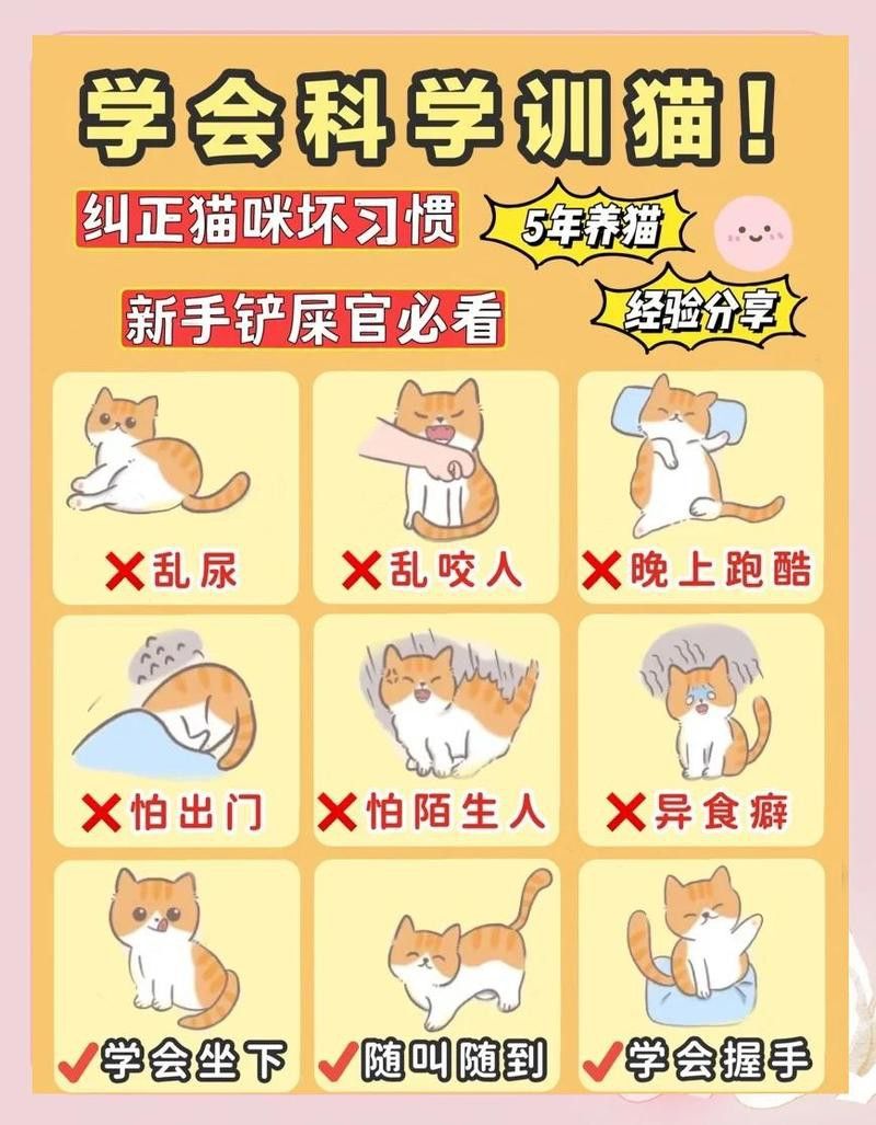 如何訓練貓不捕魚？