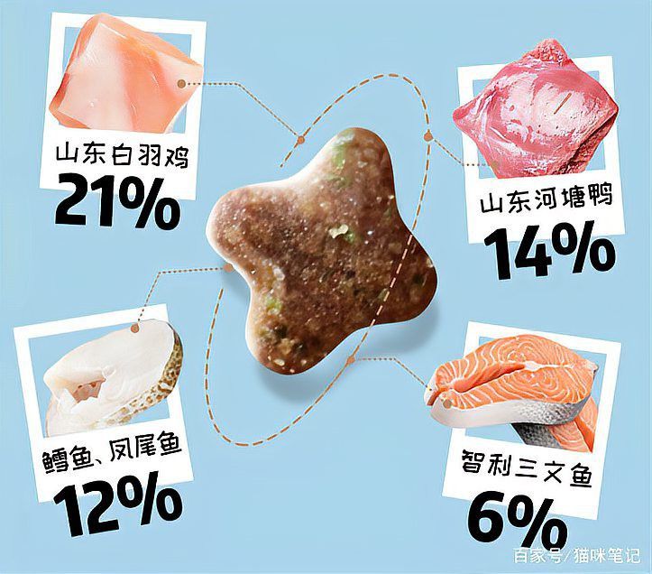如何訓練貓不捕魚？