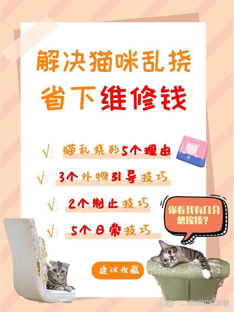 如何訓(xùn)練貓不捕魚(yú)？