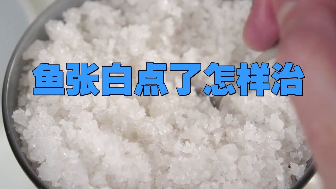 銀龍魚身上長白點怎么辦