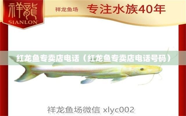 龍魚批發基地地址電話查詢：菏澤龍魚批發基地詳細信息查詢途徑和電話號碼