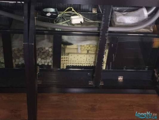 龍魚缸底濾濾材擺放：龍魚缸底濾濾材的擺放對于水質(zhì)和過濾效果至關(guān)重要
