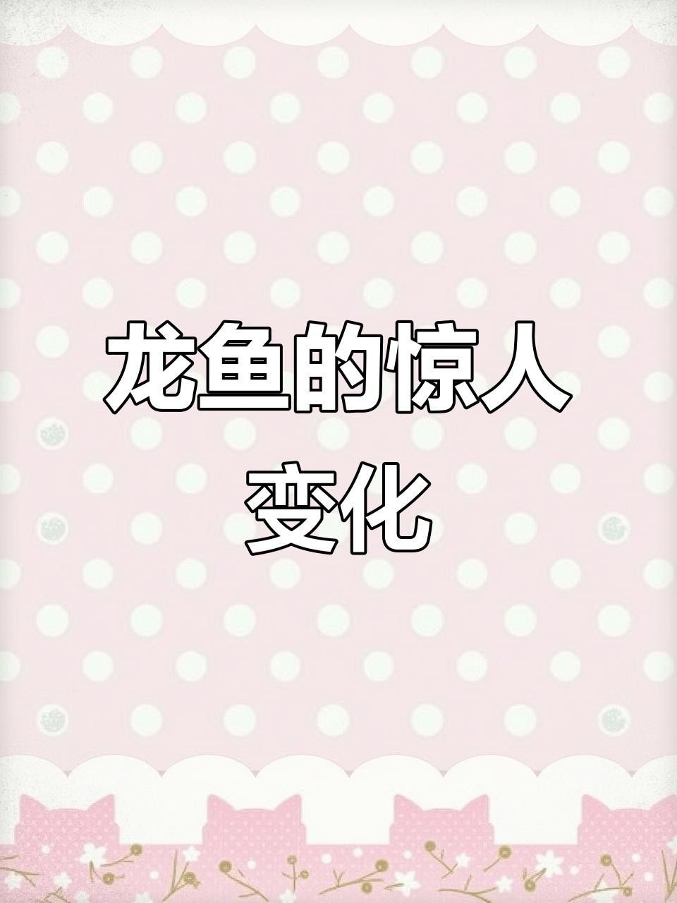 窄缸養龍魚需要注意哪些事項？