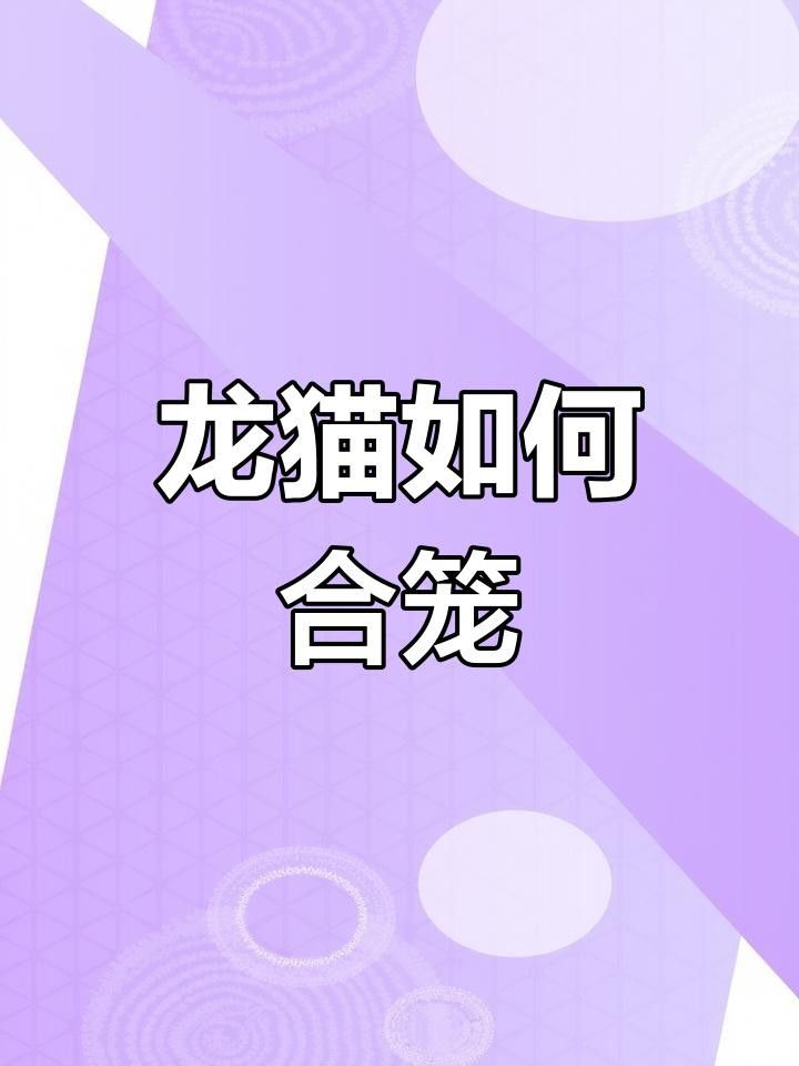 龍貓和貓共養(yǎng)有哪些注意事項