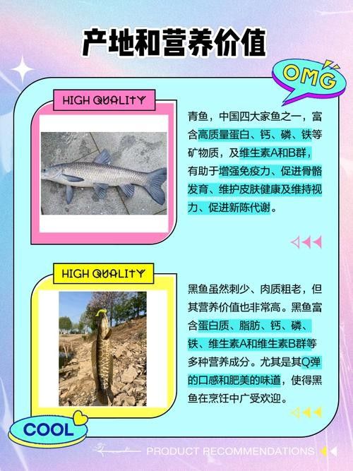 青龍魚長大后圖片視頻欣賞
