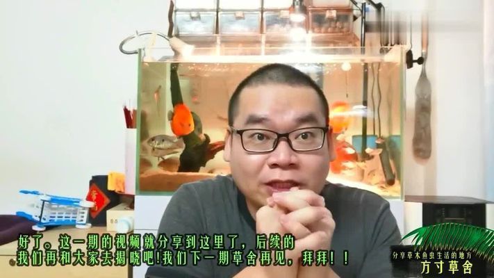 魚缸過(guò)濾羊絨棉好嗎（羊絨棉與其他過(guò)濾材料比較如何正確清洗羊絨棉的使用壽命）