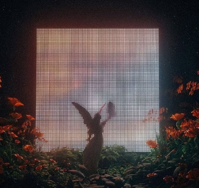 錦鯉生小魚兆頭是什么