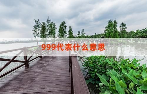 金龍魚代碼為什么是999