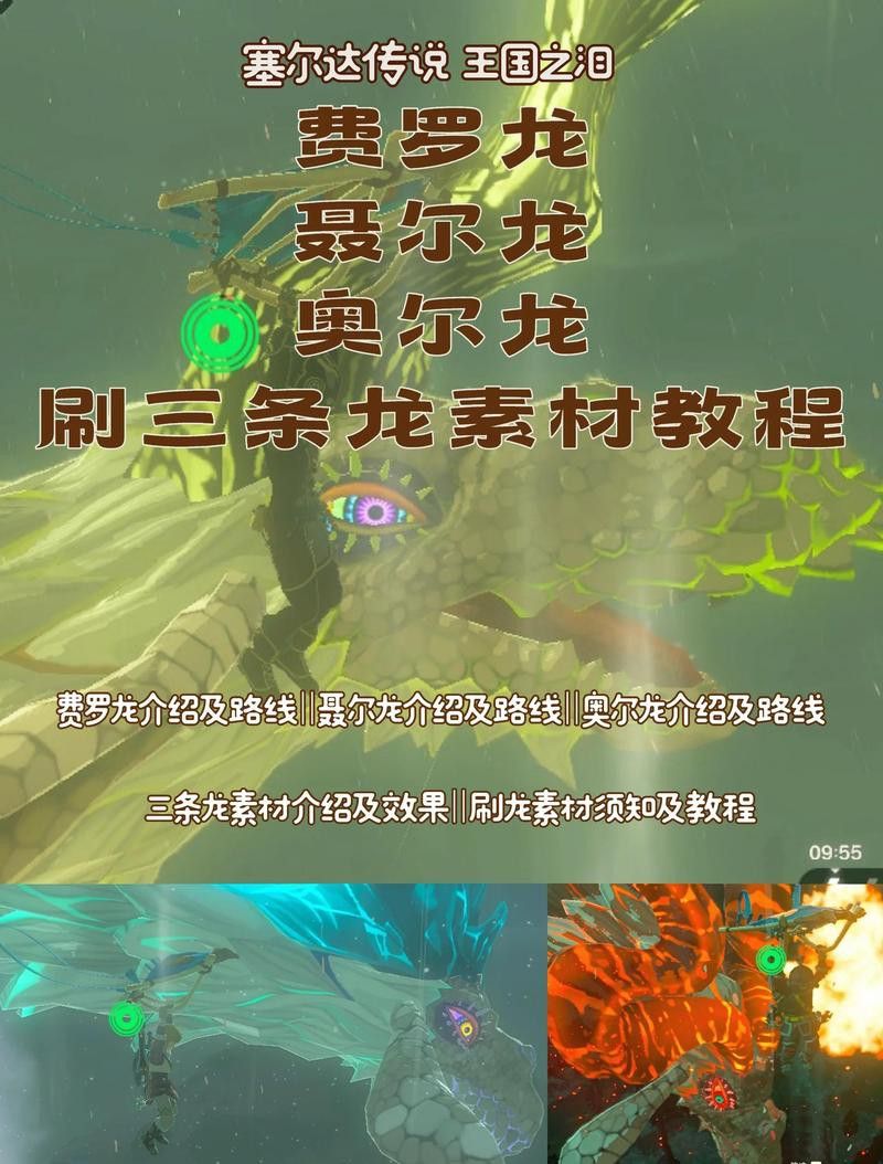 如何快速獲取冰龍的骨頭和白鯨素材？