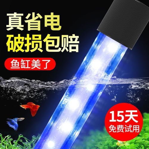 過背金龍缸中哪些燈管品牌好？