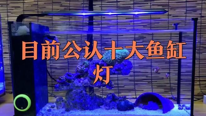 過背金龍缸中哪些燈管品牌好？