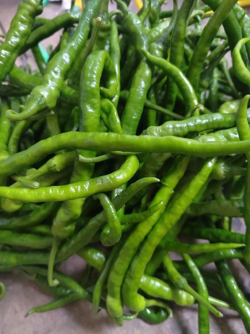 辣椒照片100張圖