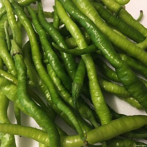 辣椒照片100張圖