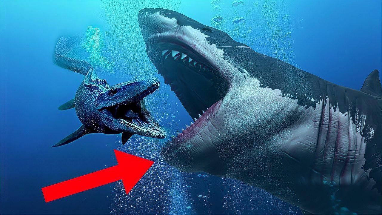 哪種鯊魚最厲害
