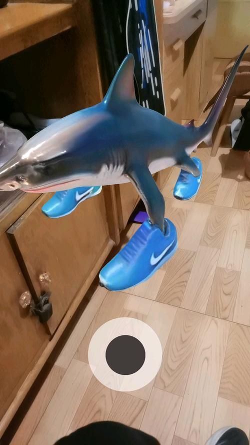 納克鯊魚圖片