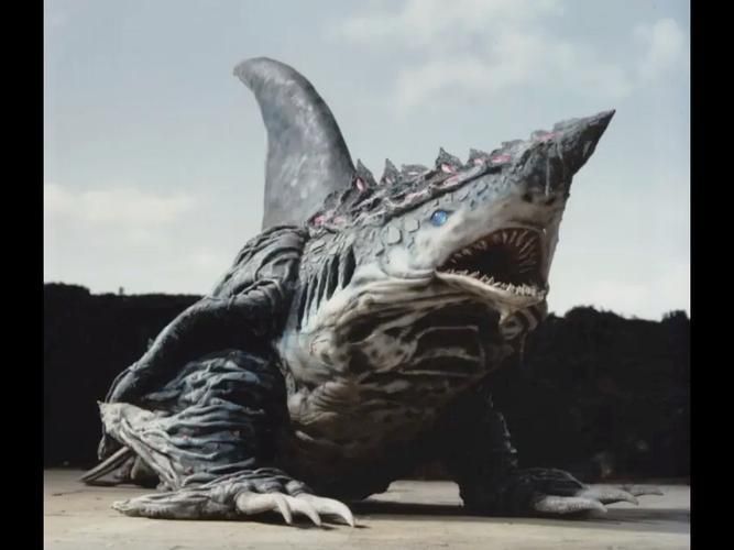 納克鯊魚圖片