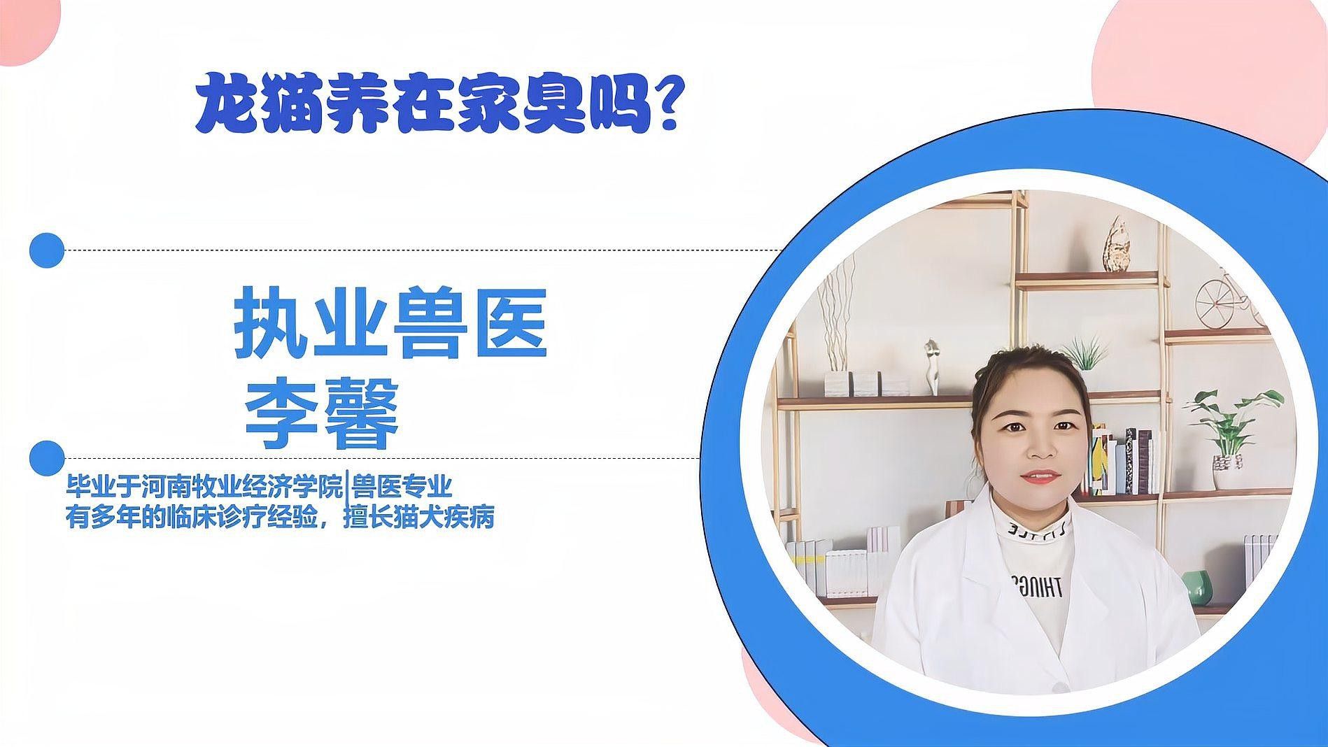如何預防龍貓和貓再次打架？ 如何預防龍貓和貓再次打架？ 龍魚百科 第9張