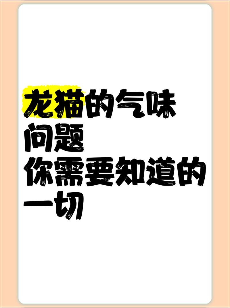 如何預防龍貓和貓再次打架？ 如何預防龍貓和貓再次打架？ 龍魚百科 第11張