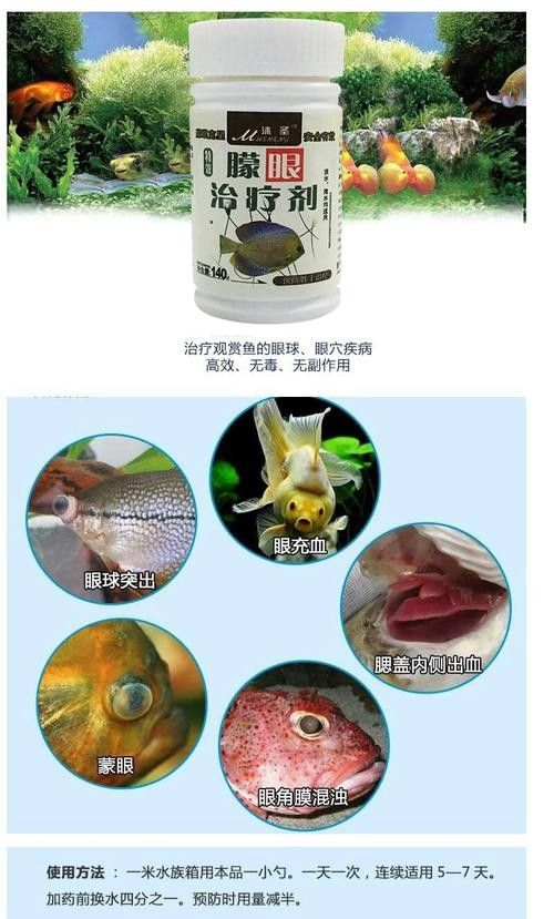 龍魚蒙眼最好治療方法是什么圖片