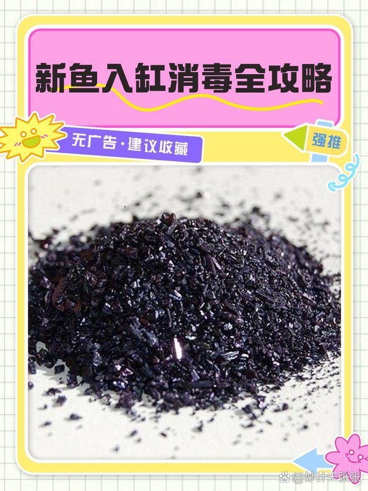 如何預防魚缸細菌感染？