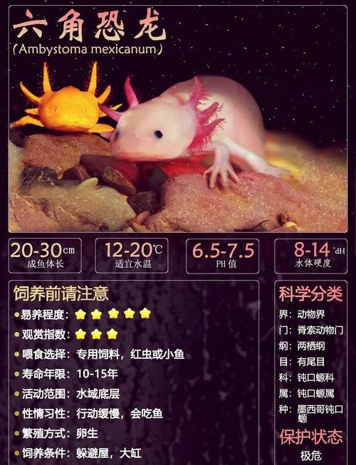 恐龍魚品種大全圖片