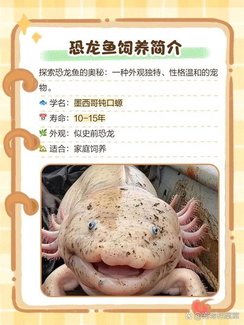 恐龍魚品種大全圖片