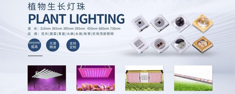 金龍魚專用燈可以用來植物光合作用嗎？