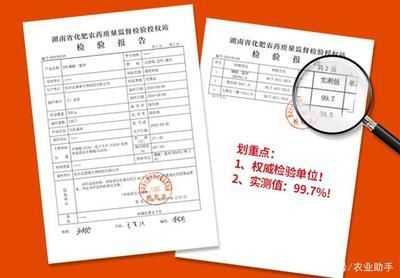 金龍魚質檢報告查詢真偽怎么查，如何通過官方渠道查詢金龍魚質檢報告的真偽