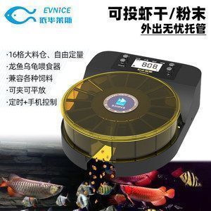 什么品牌的龍魚缸設(shè)計的好用：夢之缸定制服務(wù)流程：夢之缸定制服務(wù)流程