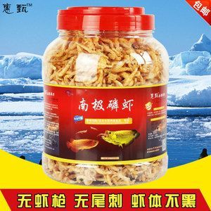 金龍魚吃什么食料最好養：金龍魚吃什么食物最好