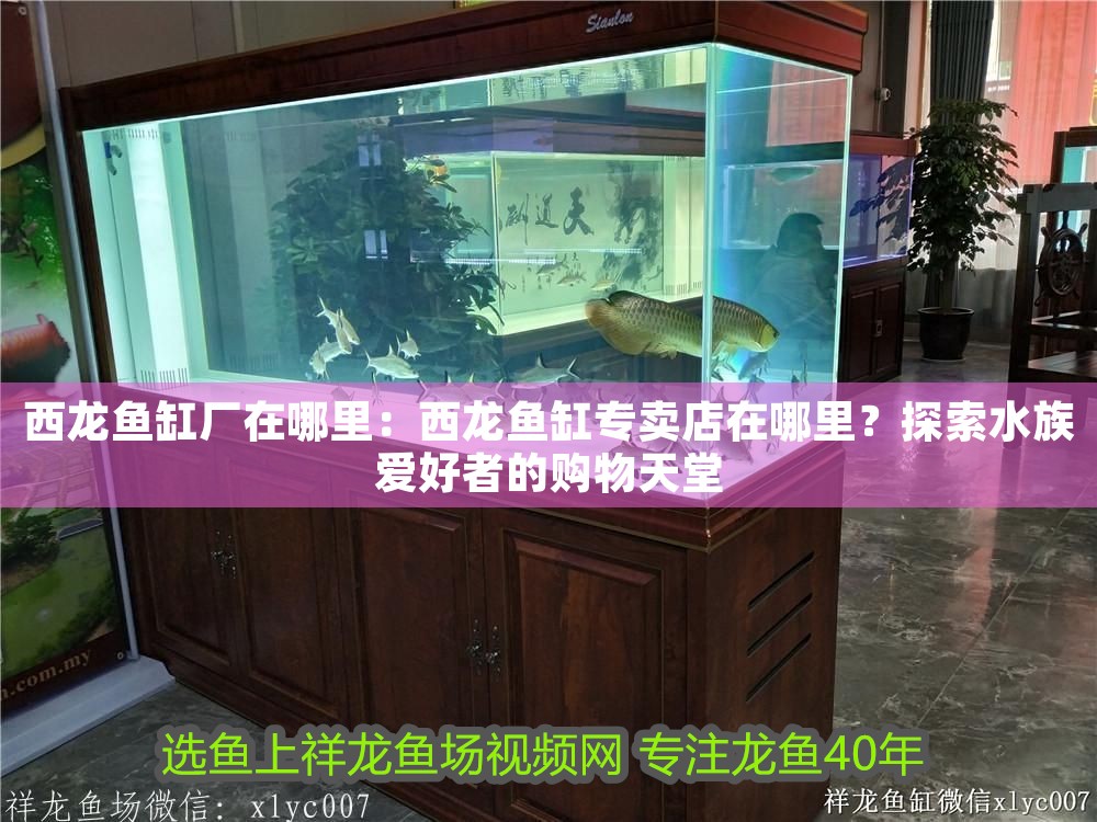 西龍魚缸廠在哪里：西龍魚缸專賣店在哪里？探索水族愛好者的購物天堂