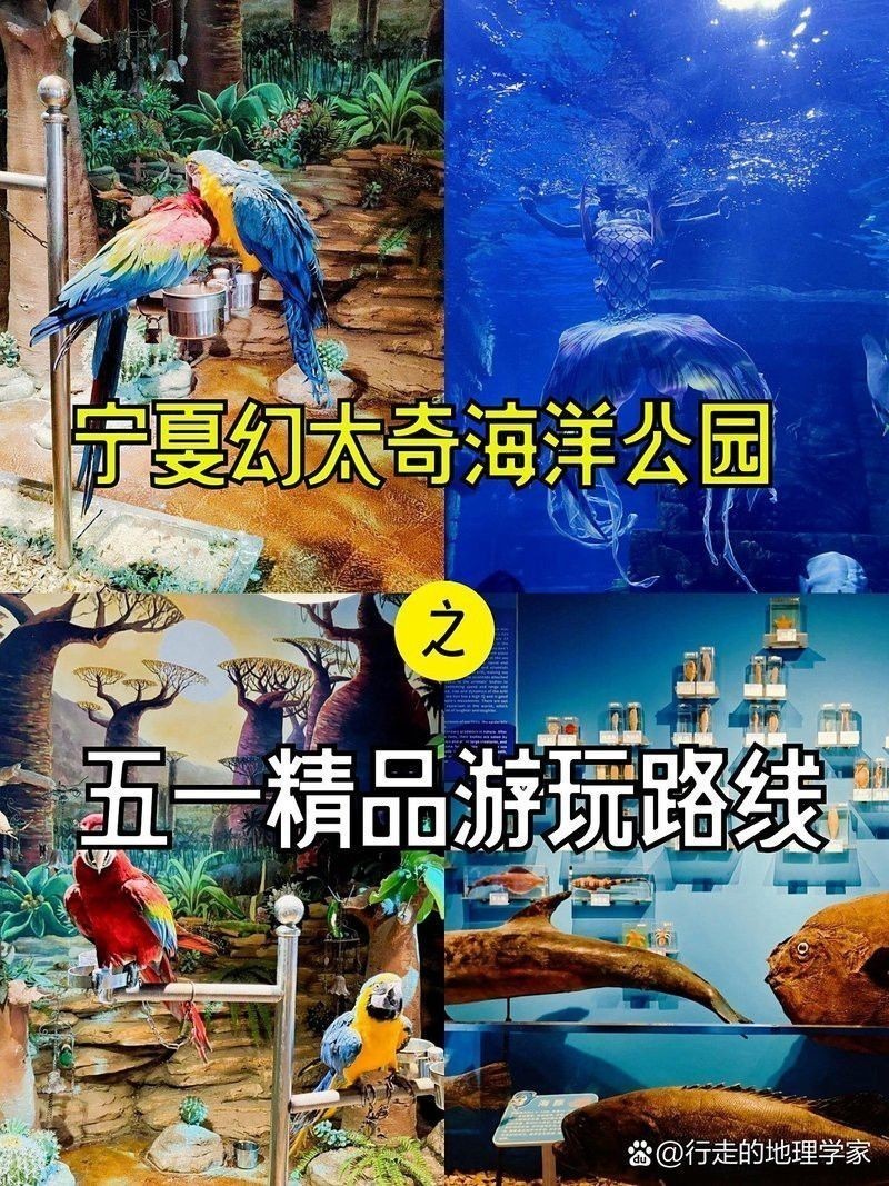 銀川水族批發(fā)市場(chǎng)買龍魚價(jià)格多少一斤