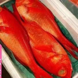 龍躉的市場價格是多少？