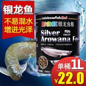 如何讓銀龍魚吃魚糧（怎樣讓銀龍魚吃魚糧）