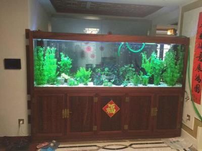 寶龍魚缸維修電話是多少（寶龍魚缸常見故障及解決方法）