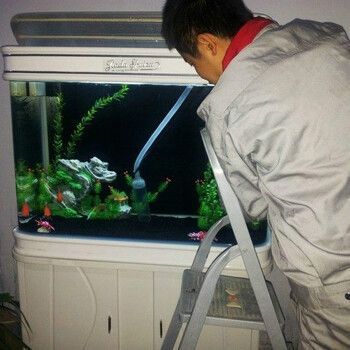 寶龍魚缸維修電話是多少（寶龍魚缸常見故障及解決方法）