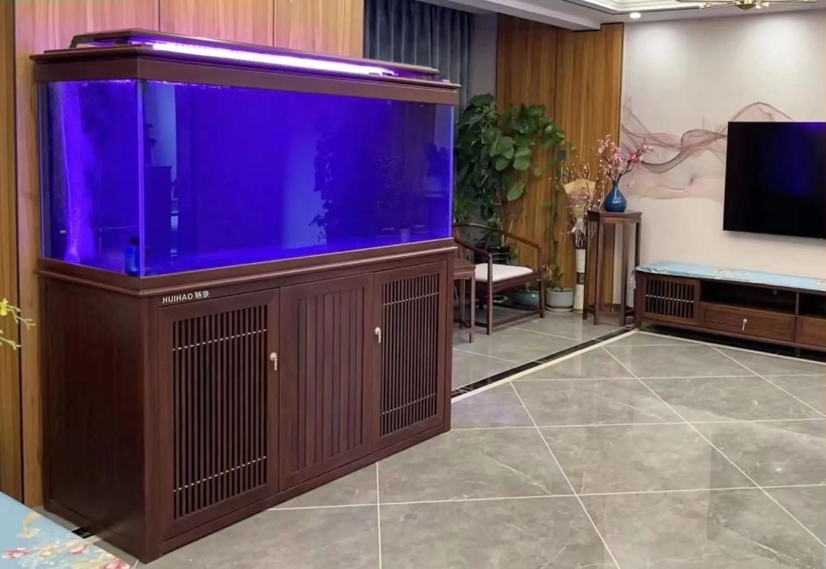 龍魚缸的最佳擺放圖