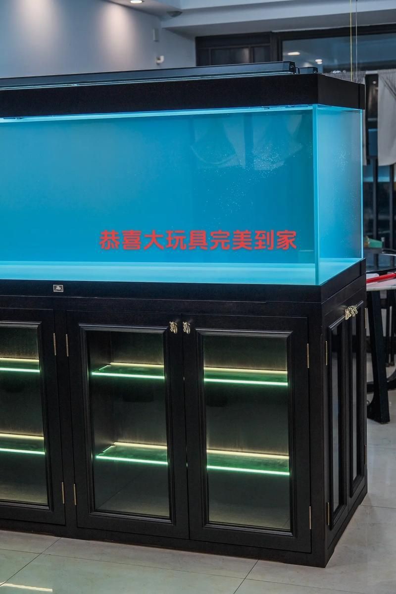 龍魚缸的最佳擺放圖